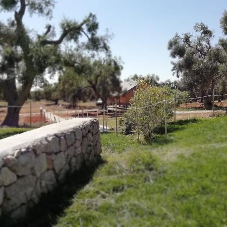 Agriturismo Marconi بورتو سيساريو المظهر الخارجي الصورة