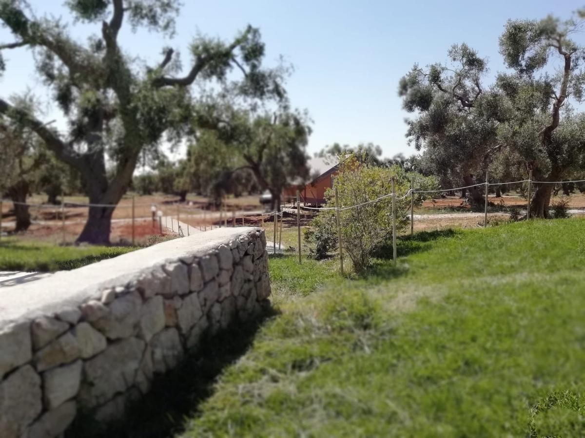 Agriturismo Marconi بورتو سيساريو المظهر الخارجي الصورة